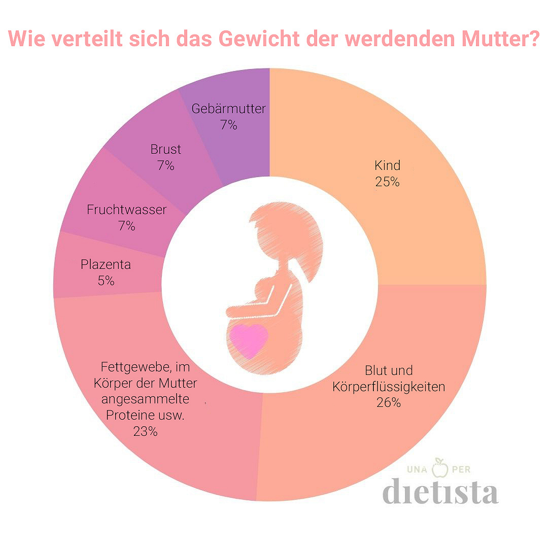 Der Prozentsatz der Körpergewichtsverteilung während der Schwangerschaft